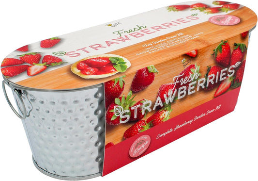 BUZZY Seeds Strawberry Grow Kit Easy Indoor Windowsill Garden with Decorative Metal Planter, Non-GMO Seeds, Growing Medium, A Fun Gift for Beginning Gardeners