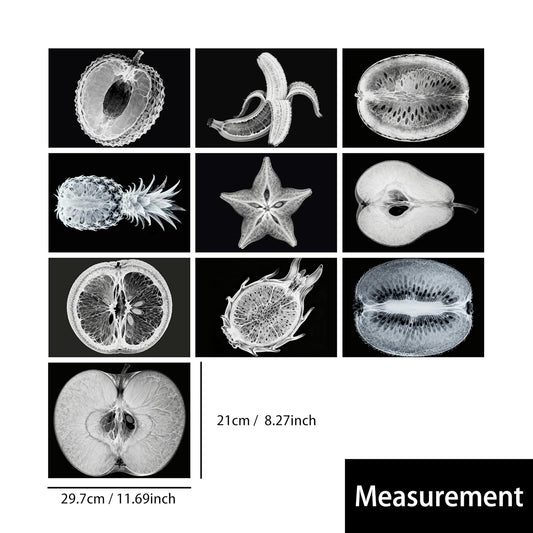 Vegetable, Fruit and Plant X-Rays, Set of 10, Simulation Specimen, Science Experiment Material for Kindergarten, Light Table, Montessori & Reggio-Inspired (Vegetables)