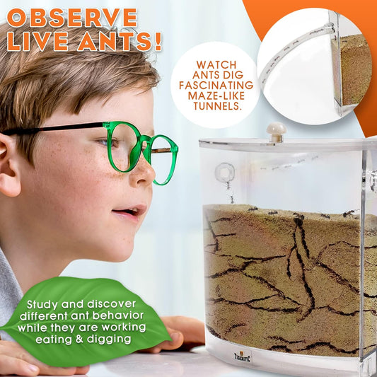 Ant Farm for Live Ants - Real Sand Ant Colony Kit for Kids -Fun Science Habitat Set for Children, Watch Ants Dig Tunnels, Carry Sand, Hide and Drag Their Food