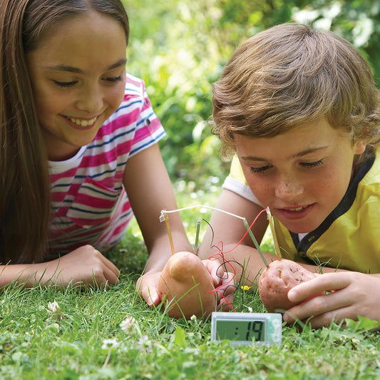 4M: Green Science: Potato Clock - DIY & Experience Battery-Free Renewable Energy, Power A Digital Clock, STEM Learning Craft Activity Kit, Kids Age 5+