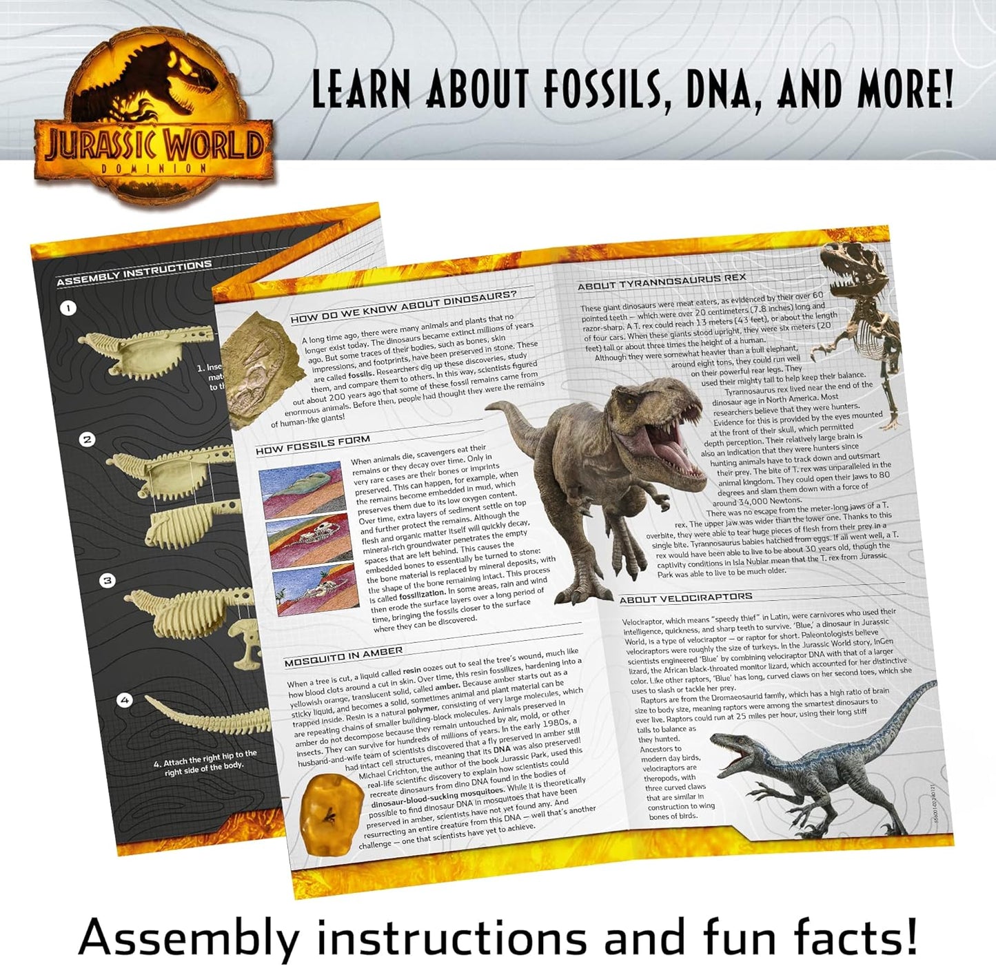 Jurassic World Dominion Dinosaur Dig – Blue, T. Rex & Amber | STEM Excavation Kit from Thames & Kosmos | Dig Out Prehistoric Treasures with Custom Jurassic World Tools | Safe, Dust-Free Activity
