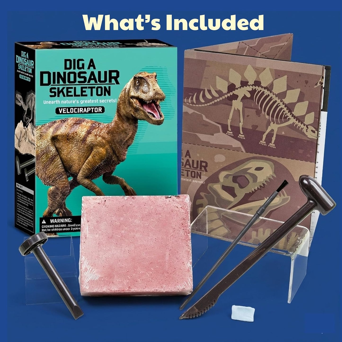 KidzLabs Dig a Pteranodon Skeleton Kit, Fossil Excavation Set, Ages 8+, 1 Piece