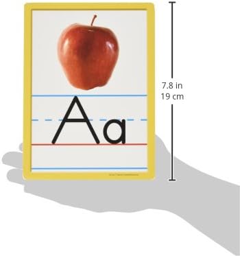 Edupress Alphabet and Numbers Accents, Pack of 36 Multicolored 6" x 8"