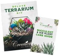 Creations by Nathalie – DIY Large Terrarium Starter Kit with Soil, Moss, Pebbles, Healing Crystal, Tools & Supplies – Terrarium Kit for Adults & Teens, Handcrafted in USA