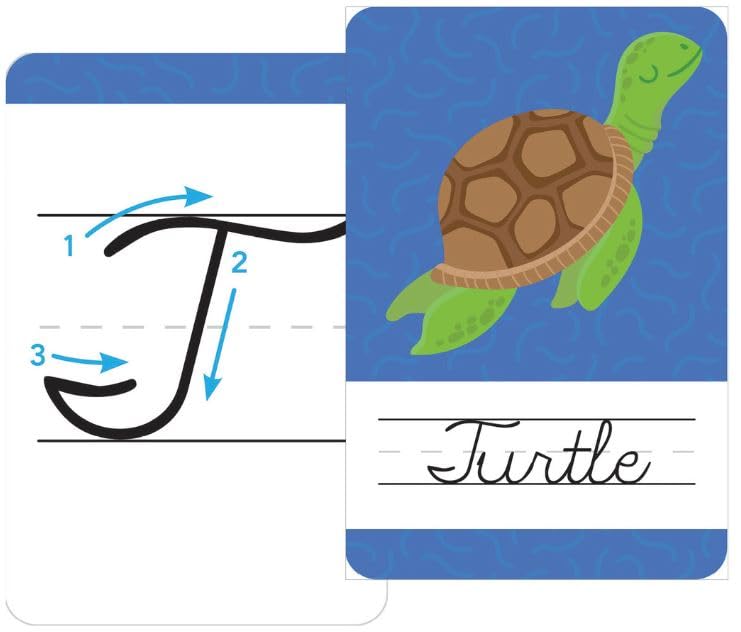 Cursive Practice Alphabet Flash Cards (Flash Card Series)