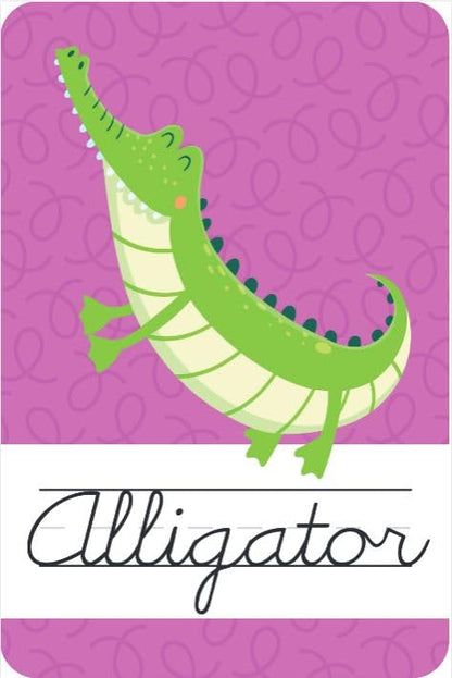 Cursive Practice Alphabet Flash Cards (Flash Card Series)