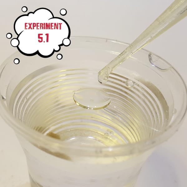Einstein’s Optical Illusion LAB Science Kit for Kids. STEM for Boys & Girls Aged 8 and Above. 14 Exciting Experiments Inside/Detailed Picture Guide Included. Award Winning Kit