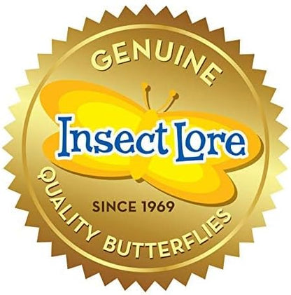 Insect Lore Butterfly Garden Kit with Live Caterpillars – Grow 10 Painted Lady Butterflies - STEM Learning Activity, Habitat with Journal, Stickers, Seeds & Figurines - As Seen on TV
