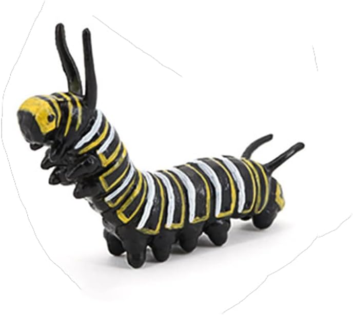 Butterfly Growth Cycle, Animal Growth Cycle Biological Model, Growth Stage Lifelike Butterfly Life Cycle Model Set for Kids Education Insect Themed Party Favors