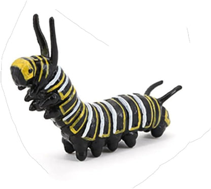 Butterfly Growth Cycle, Animal Growth Cycle Biological Model, Growth Stage Lifelike Butterfly Life Cycle Model Set for Kids Education Insect Themed Party Favors