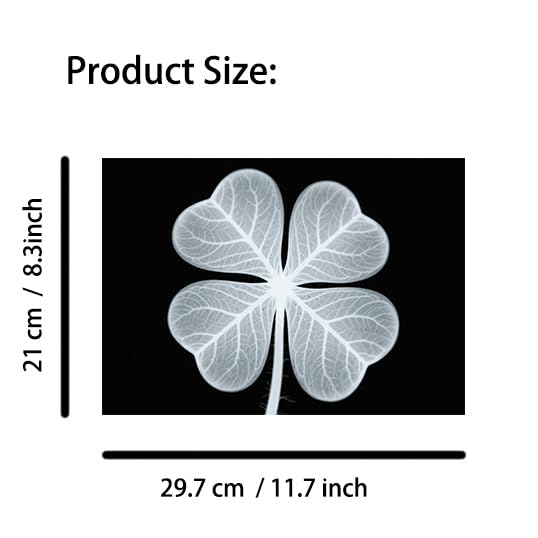 Vegetable, Fruit and Plant X-Rays, Set of 10, Simulation Specimen, Science Experiment Material for Kindergarten, Light Table, Montessori & Reggio-Inspired (Vegetables)