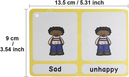Lilias Irregular Past Tense Verbs English Grammar Double-Side Learning Flash Cards - 24 Card Set for Homeschool, Preschool, Primary School, ESL, Autism, Vocabulary Building