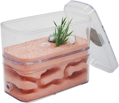 YKLL Ant Farm Highly Moisturizing Ant Nest Ant Farm Plaster Insect Box Pet Anthill Castle Natural Ecological Workshop Ant House 12 * 6 * 10cm Unique Gifts