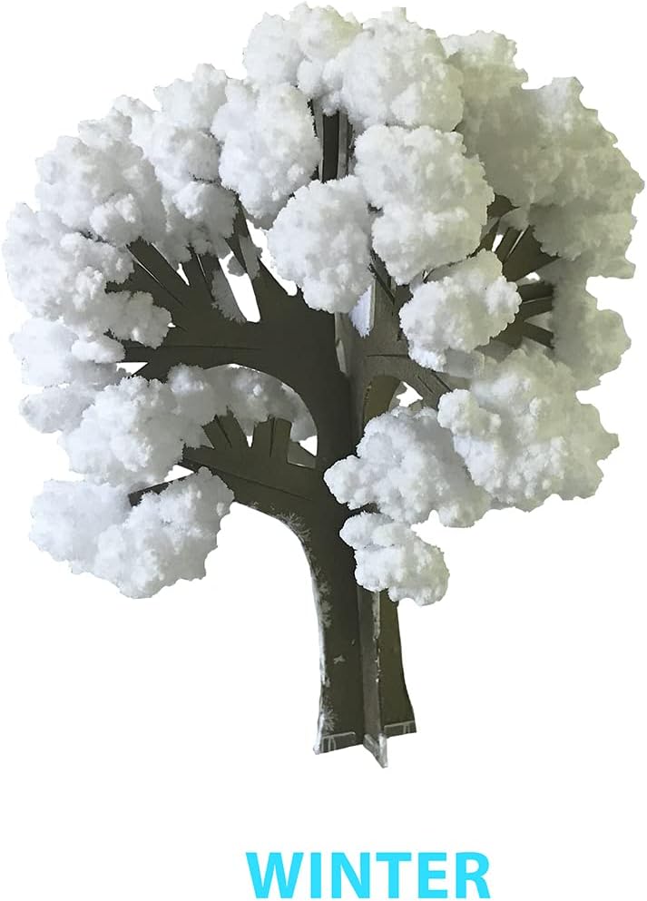 Crystal Growing Seasons Kit | Grow All 4 Seasons Today | Safe, Fun and Fast | Instructions & Facts Included | Copernicus Toys