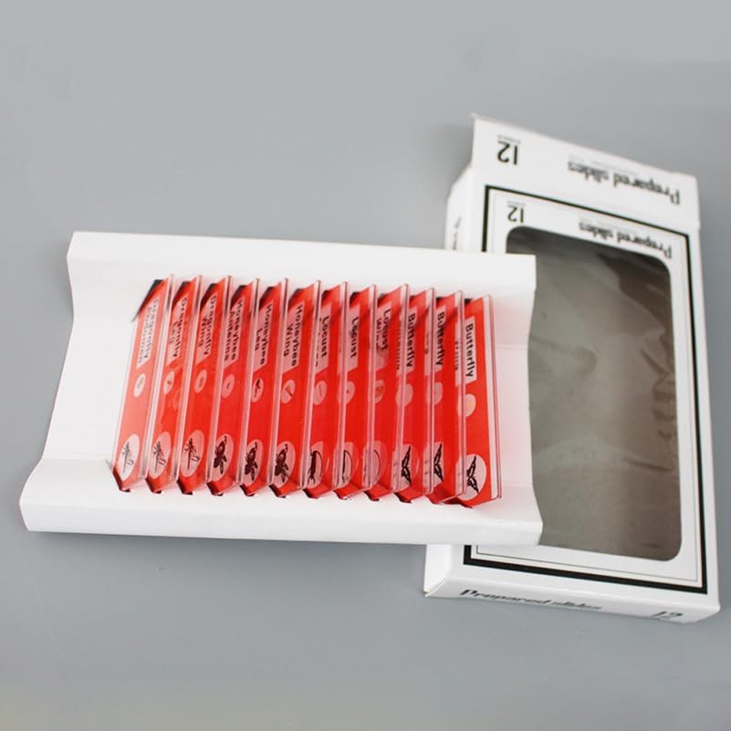 Gatuida Kids Microscope Accessories 12pcs Plastic Slides Prepared Specimens Set