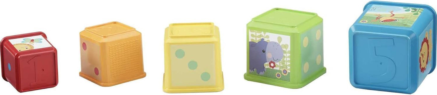 Fisher-Price Stack & Explore Blocks, Set of 5
