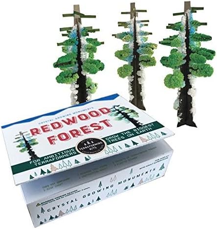 COPERNICUS TOYS Crystal Growing Redwood Forest