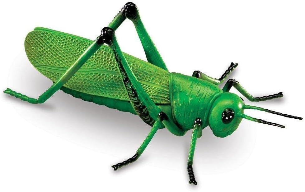 Learning Resources Jumbo Insects - Animal Toys for Kids, Toddler Preschool Science, Fine Motor Skills, Gifts for Boys and Girls, Ages 3+