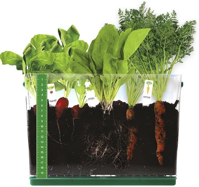 Fat Brain Toys Grow & See Vegetable Garden - Root Viewer Desktop Terrarium, 6+