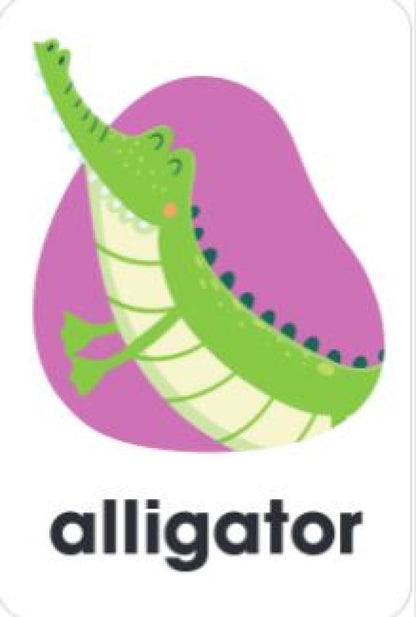 Alphabet Flash Cards (Flash Card Series)
