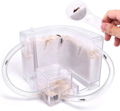 NAVAdeal Sand Ant Farm with Connecting Tubes, Habitat Educational & Learning Science Kit Toy for Kids & Adults - Allows Study of Ecosystem, Behavior of Ants, Explore The World at Home and School