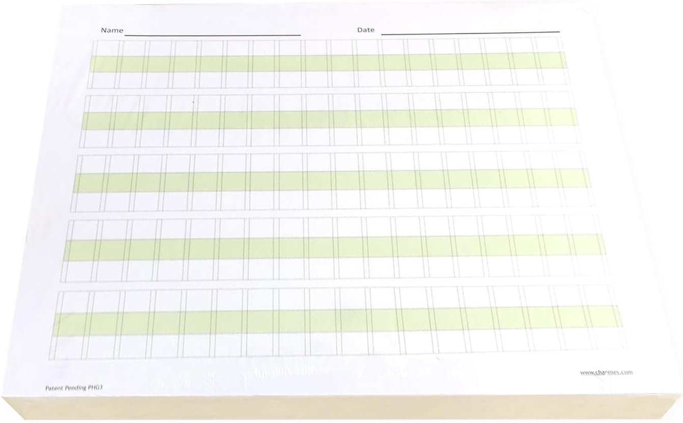 Channie’s Practice Handwriting & Printing Paper Workbook One Page A Day, 250 Pages Front & Back, 125 Sheets, Grades PreK – 1st, Size 8.5” x 11” Summer School, Summer Bridge