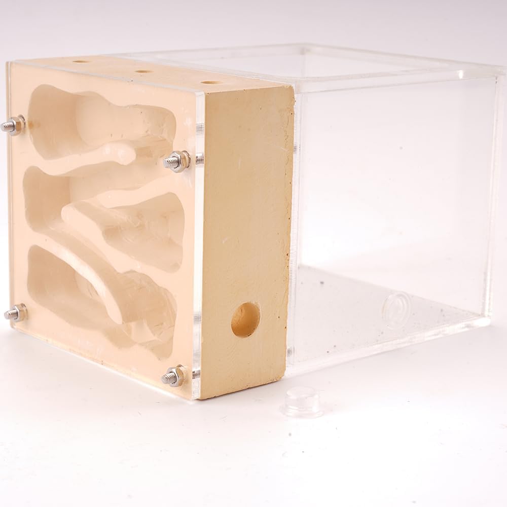 Ant Nest Farm Made with Gypsum for Adult for Living Queen Ant Colony Formicarium