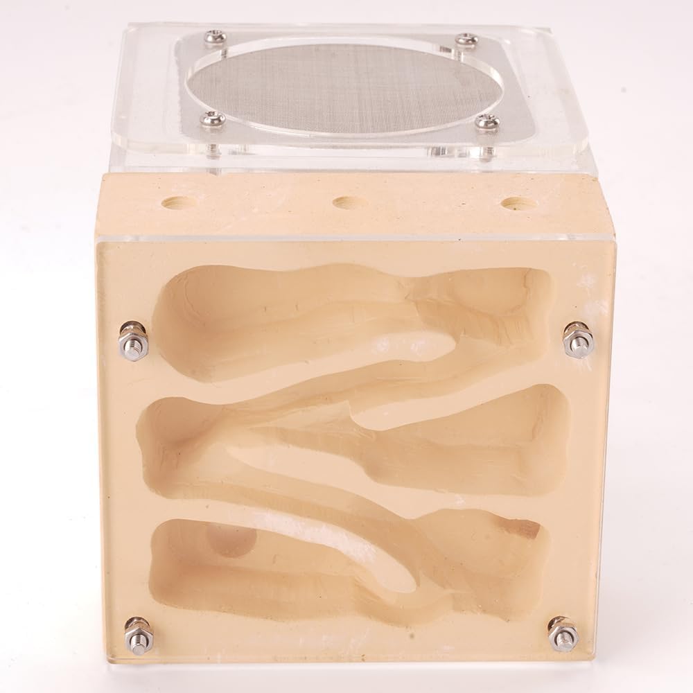 Ant Nest Farm Made with Gypsum for Adult for Living Queen Ant Colony Formicarium
