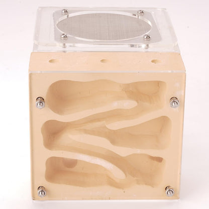Ant Nest Farm Made with Gypsum for Adult for Living Queen Ant Colony Formicarium