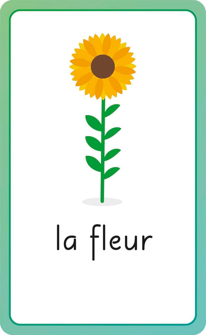 French for Everyone Junior First Words Flash Cards