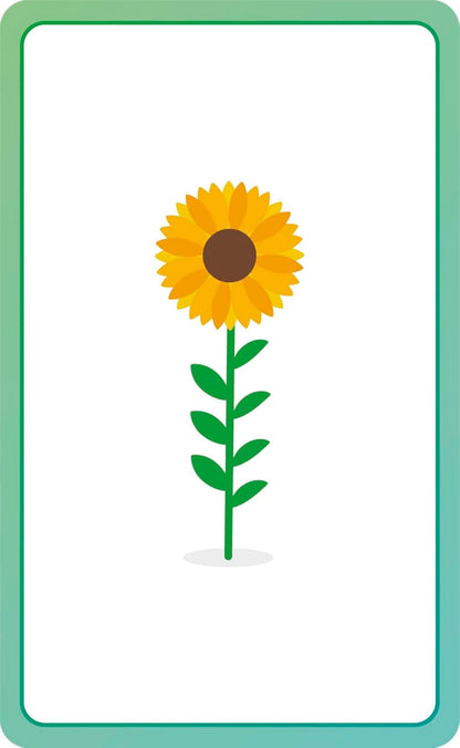 French for Everyone Junior First Words Flash Cards