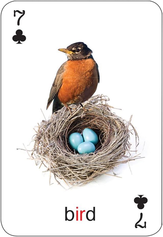 Super Duper Publications | Tiny Talk Articulation and Language R Sound Photo Flash Cards | Educational Resource for Children