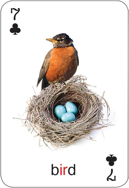 Super Duper Publications | Tiny Talk Articulation and Language R Sound Photo Flash Cards | Educational Resource for Children