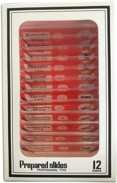 Gatuida Kids Microscope Accessories 12pcs Plastic Slides Prepared Specimens Set