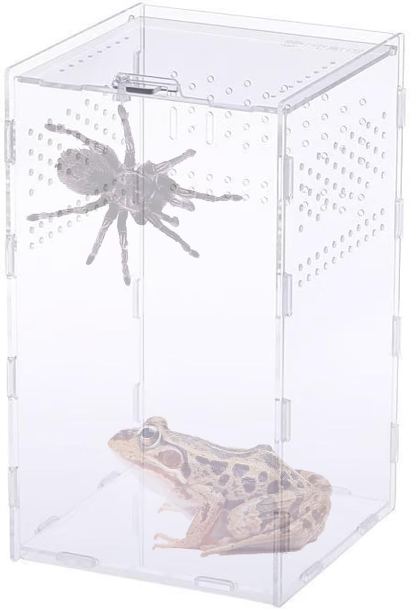 Critter Keeper Ant Farm Cane Toad Trap Little Live Pets Bug Catcher Kit for Kids Frog Habitat Turtle Tank Reptile Terrariums Lizard Cage Fish Bowl Beach Aquarium Catch and Release