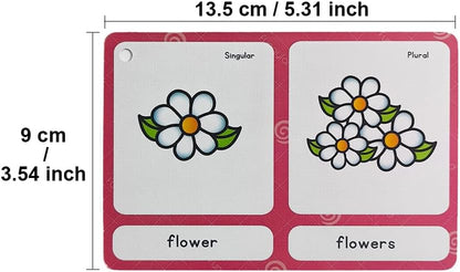 Lilias Irregular Past Tense Verbs English Grammar Double-Side Learning Flash Cards - 24 Card Set for Homeschool, Preschool, Primary School, ESL, Autism, Vocabulary Building