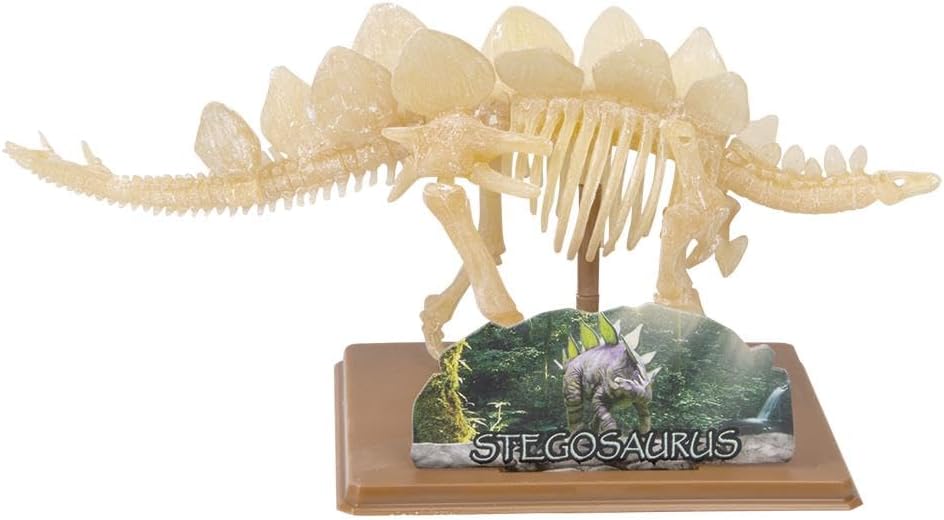Rhode Island Novelty Augmented Reality Stegosaurus Dinosaur Dig Figure
