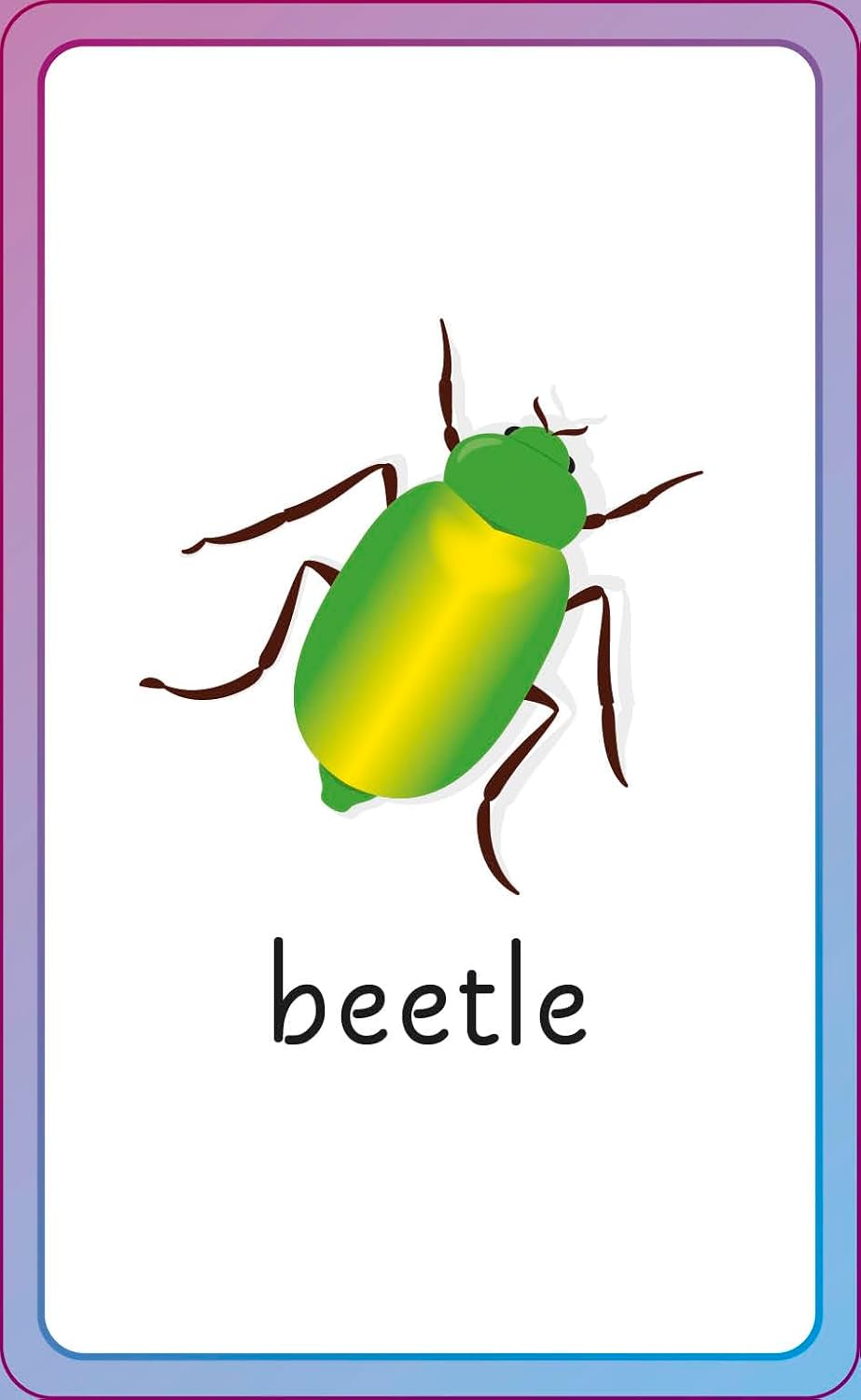 English for Everyone Junior First Words Animals Flash Cards