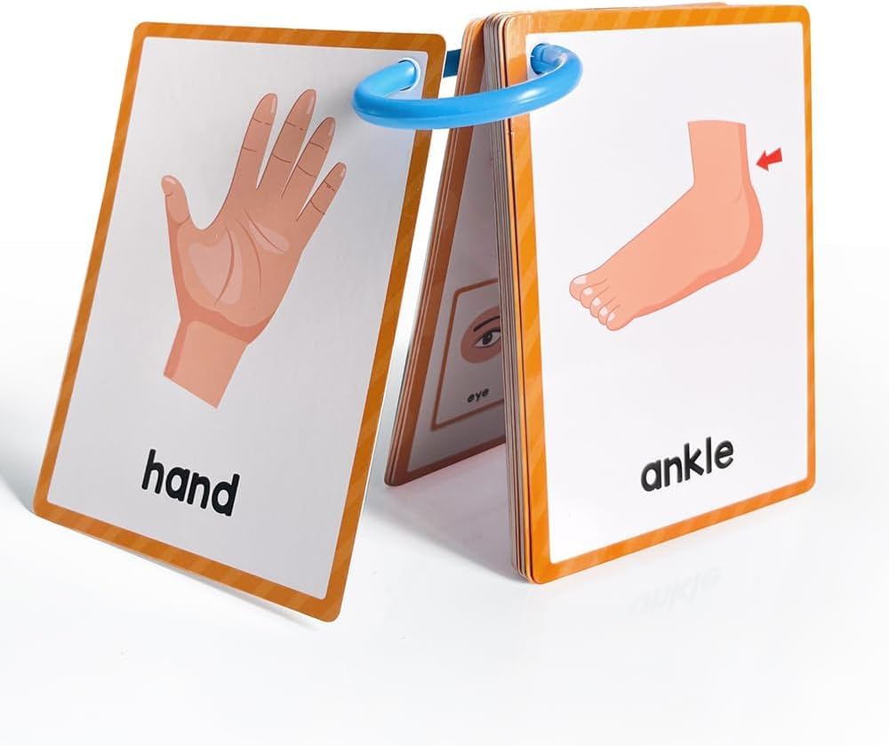 Lachilly Number 1-100 English Flashcards, High Frequency Words, Kindergarten ESL Teaching Materials, Autism Learning Materials, Vocabulary Building, 15 Cards 28 Words