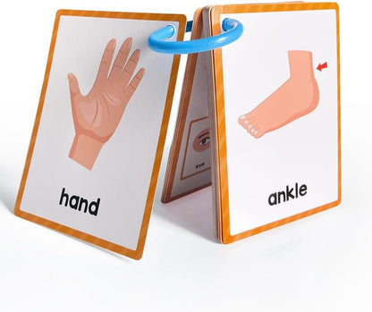 Lachilly Number 1-100 English Flashcards, High Frequency Words, Kindergarten ESL Teaching Materials, Autism Learning Materials, Vocabulary Building, 15 Cards 28 Words