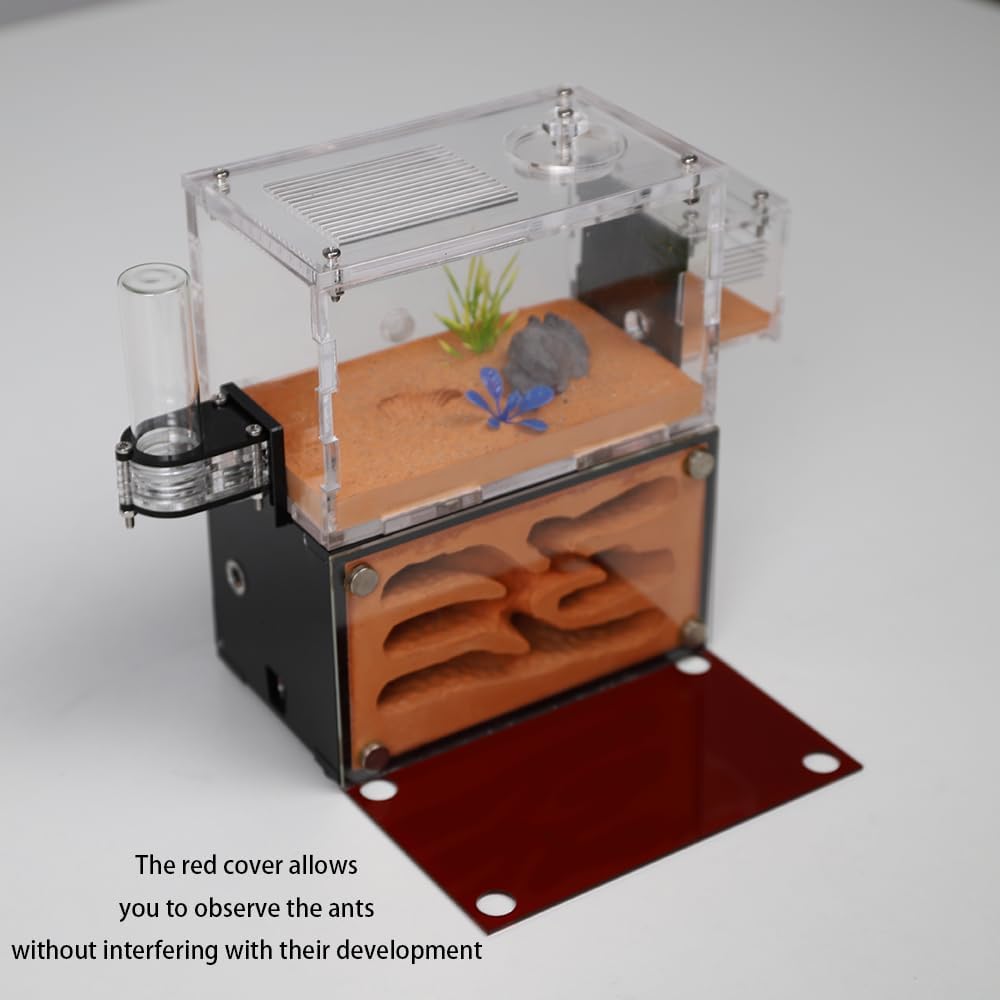 Ant Farm Nest for Adults Study of Ant Behavior Ant Nest ant Terrarium Educational Formicarium for Live Ants and Queen Two Floor