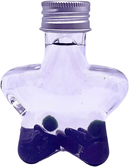 2PCS Marimo Moss Ball kit Natural Crystal 5 Choices Mini Marimo Moss Ball Kit - 5 Wish Stars with 2PCS Kokedama Unique Gift for Plants Beginners (Obsidian)