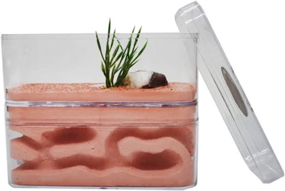 YKLL Ant Farm Highly Moisturizing Ant Nest Ant Farm Plaster Insect Box Pet Anthill Castle Natural Ecological Workshop Ant House 12 * 6 * 10cm Unique Gifts