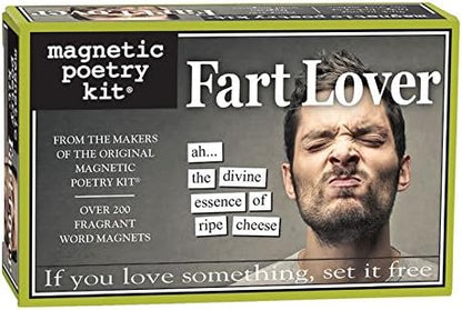Bitch-Magnetic Poetry Kit