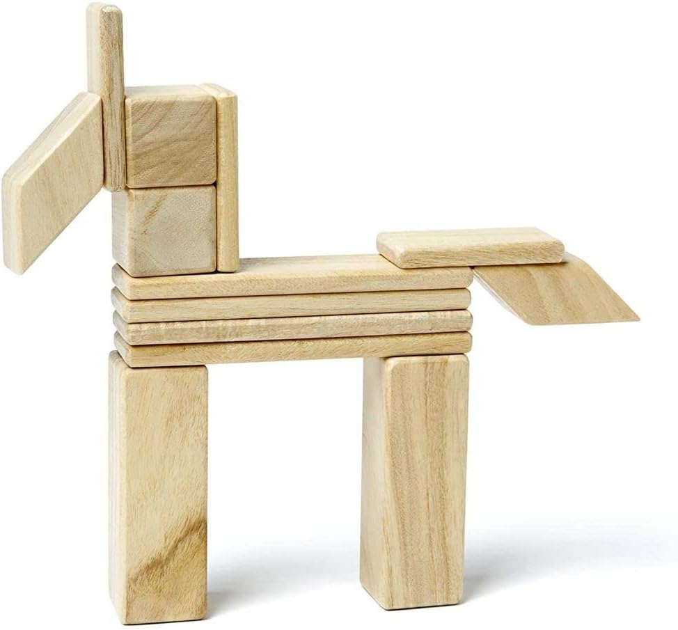 14 Piece Tegu Magnetic Wooden Block Set, Blues