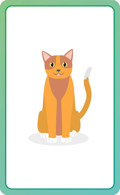 Spanish for Everyone Junior First Words Flash Cards