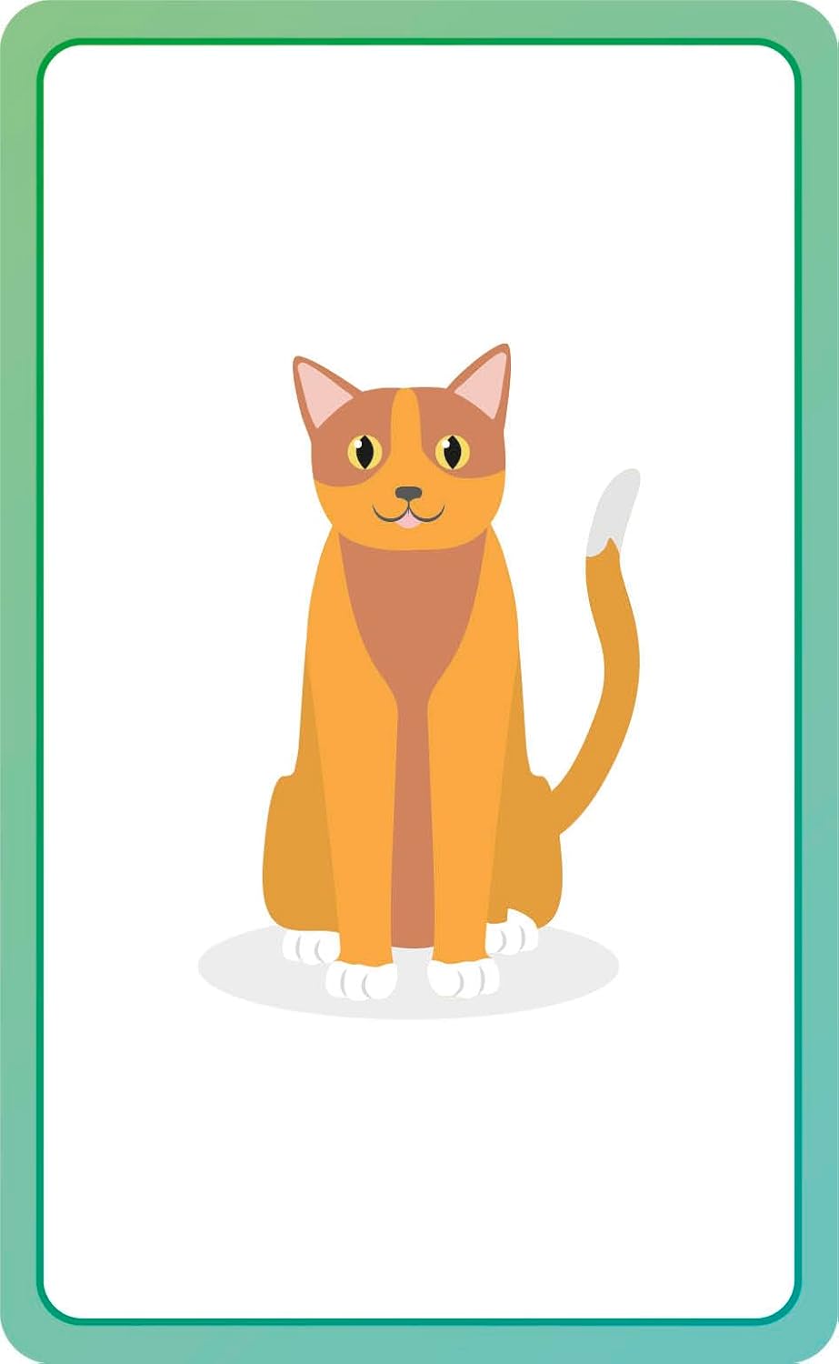 Italian for Everyone Junior First Words Flash Cards