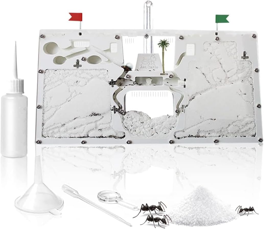 Ant Castle Farm - Live Ant Colony Observation Kit & Science Learning Habitat for Kids