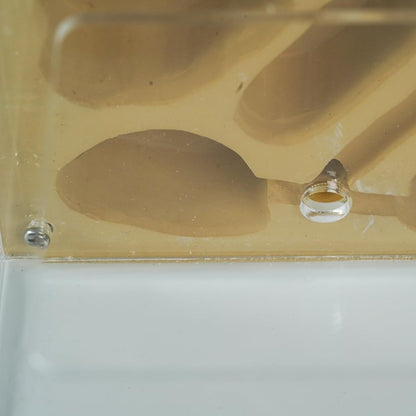 Ant Farm for Live Ants - Large Viewing Area - Natural Learning