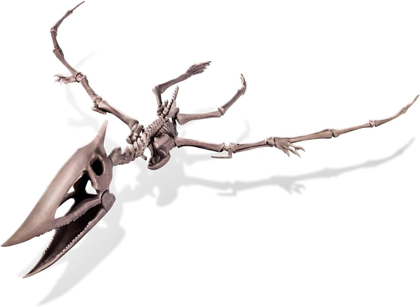 KidzLabs Dig a Pteranodon Skeleton Kit, Fossil Excavation Set, Ages 8+, 1 Piece